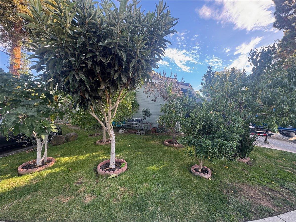 Photo #32: ML82031621 Listing: Photo #32