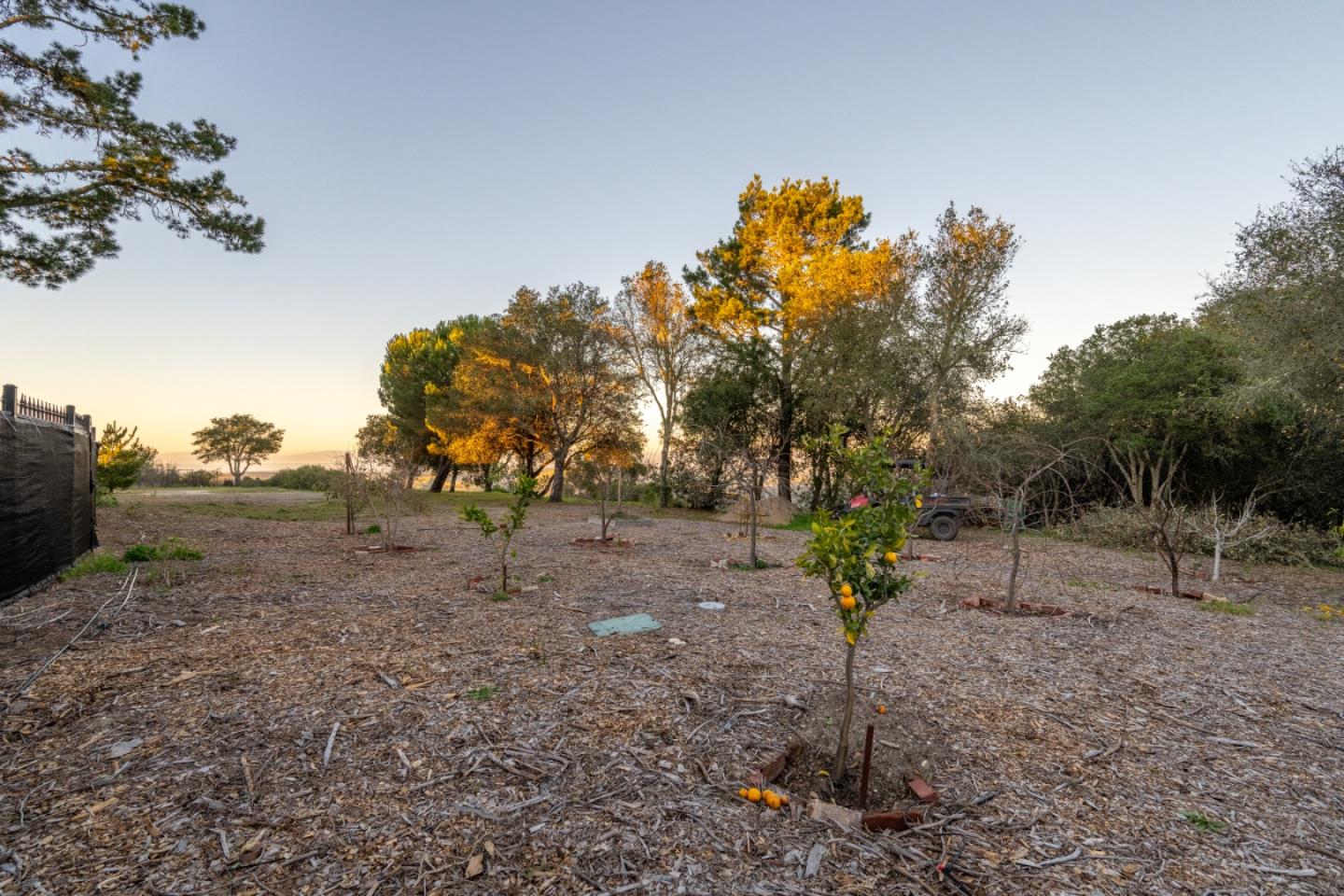 Detail Gallery Image 26 of 28 For 12167 Saddle Rd, Carmel Valley,  CA 93924 - – Beds | – Baths