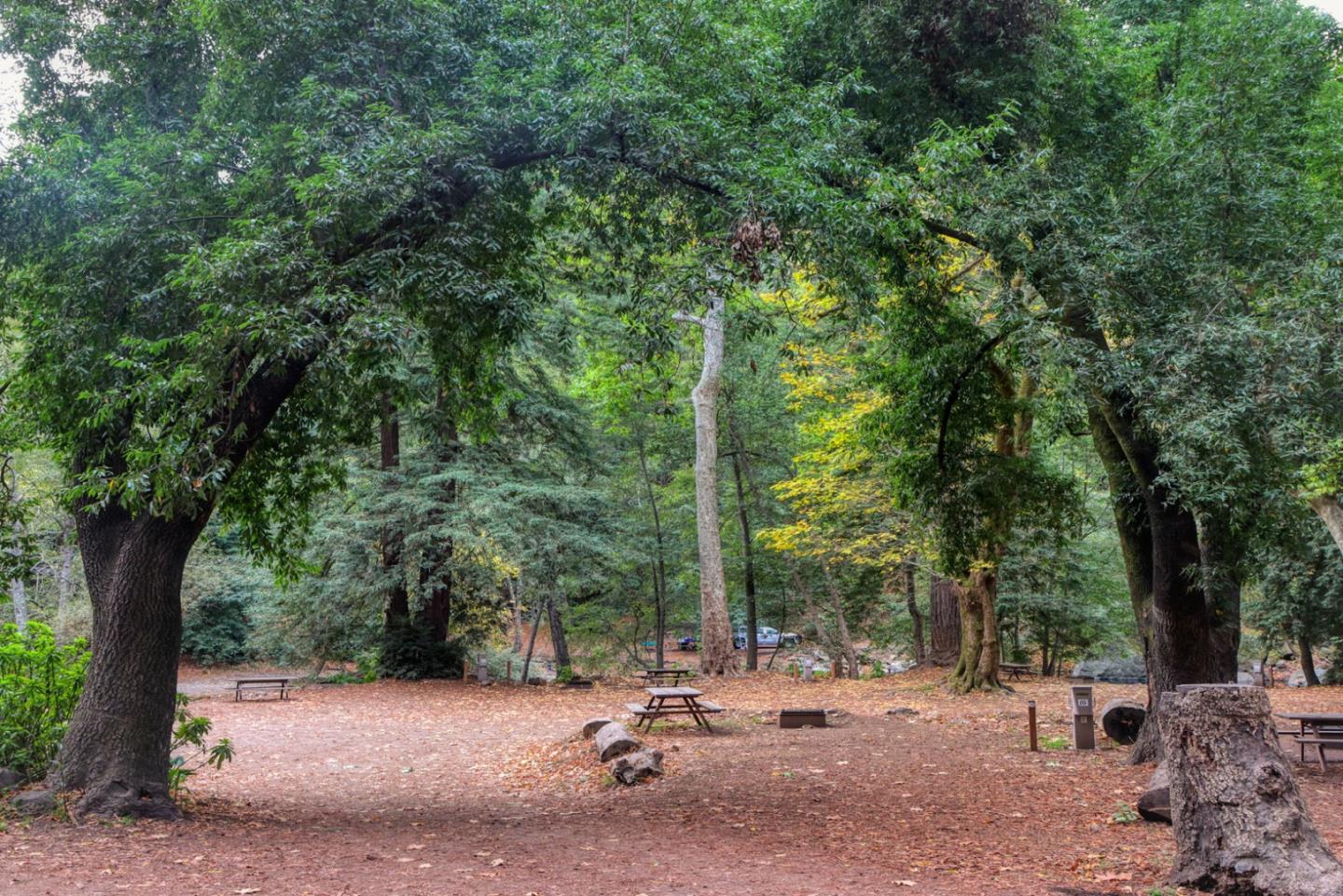 Detail Gallery Image 8 of 10 For Lot #9 State Hwy 1, Carmel,  CA 93923 - – Beds | – Baths