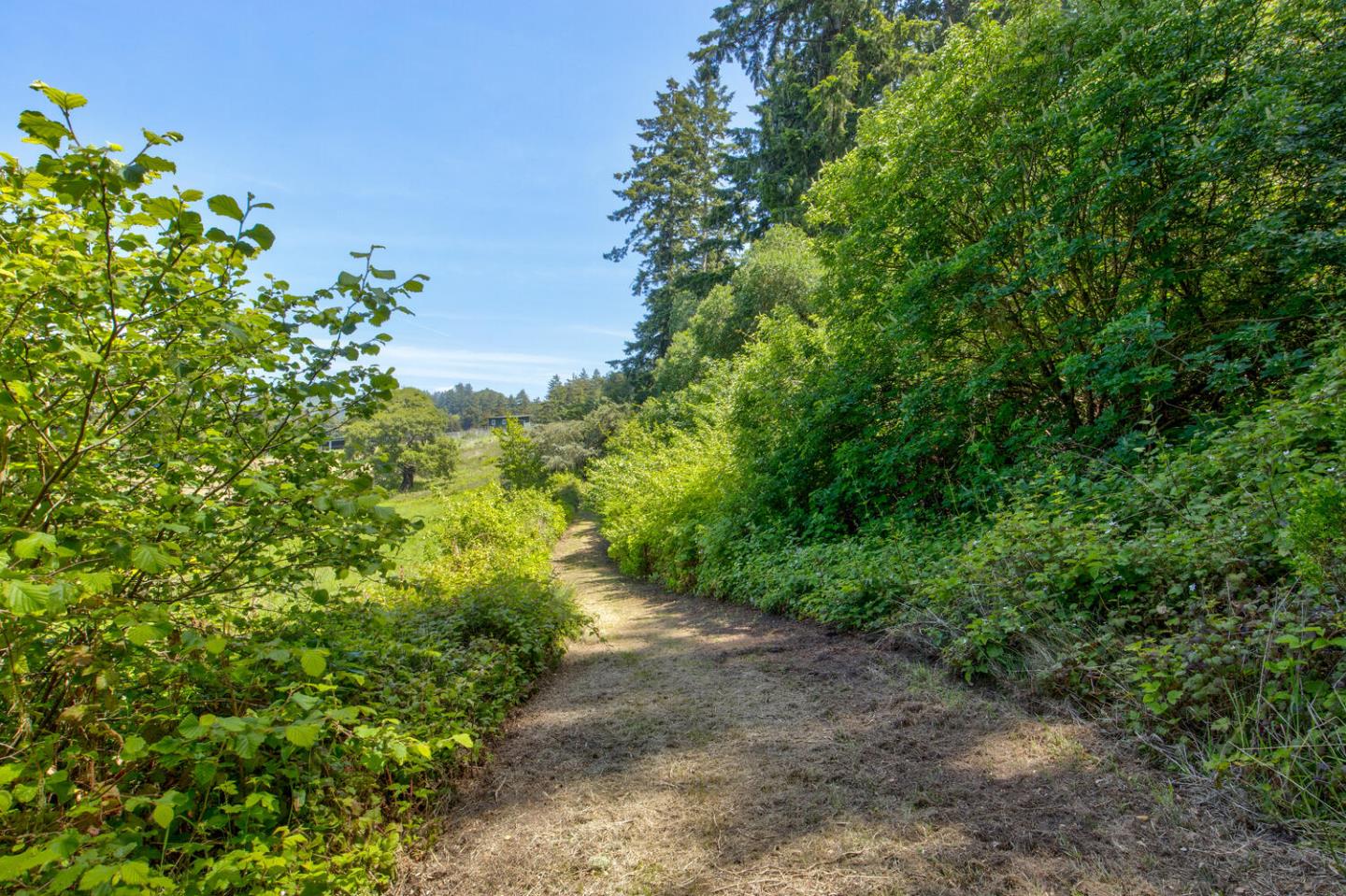 Detail Gallery Image 37 of 44 For 5090 La Honda Rd, San Gregorio,  CA 94074 - 2 Beds | 1 Baths
