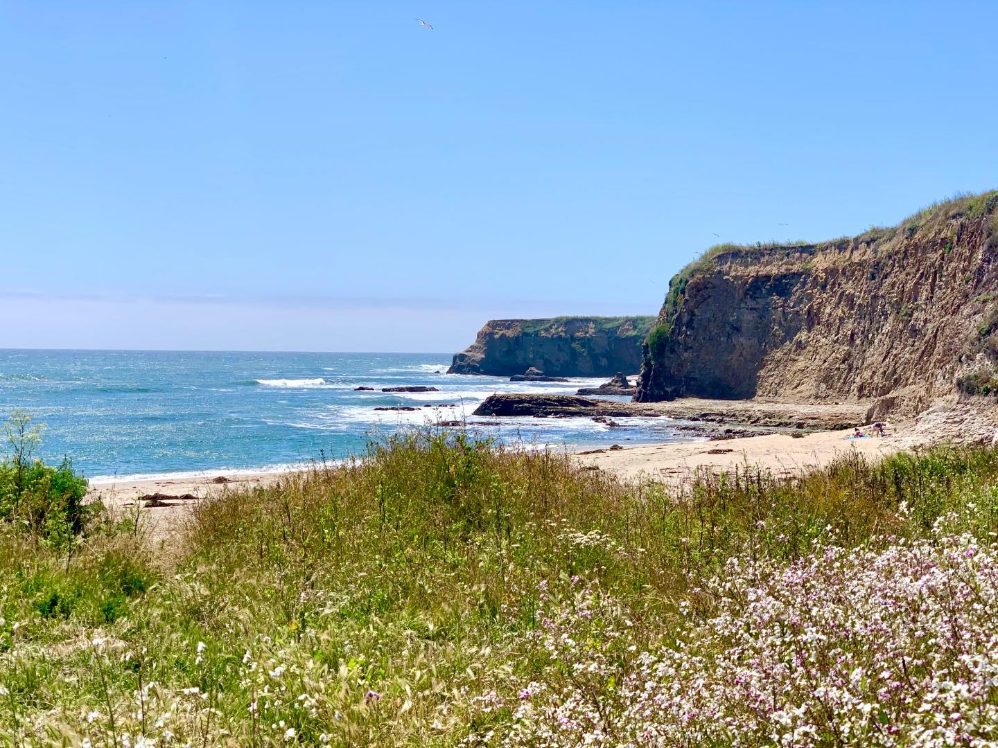 Detail Gallery Image 7 of 15 For 2 3rd Ave, Davenport,  CA 95017 - 3 Beds | 4 Baths