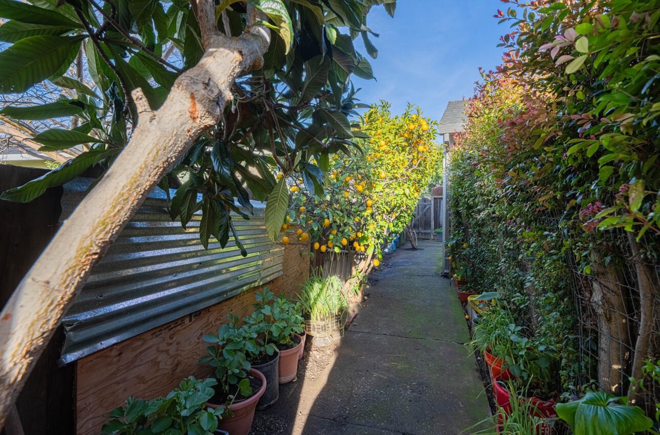 Detail Gallery Image 38 of 39 For 376 Cypress Ave, Santa Clara,  CA 95050 - 3 Beds | 1 Baths