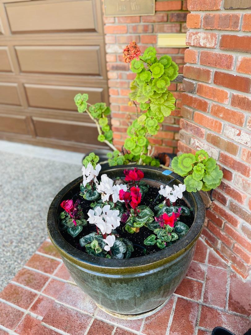 Detail Gallery Image 4 of 73 For 200 Iris Way, Palo Alto,  CA 94303 - 6 Beds | 5 Baths