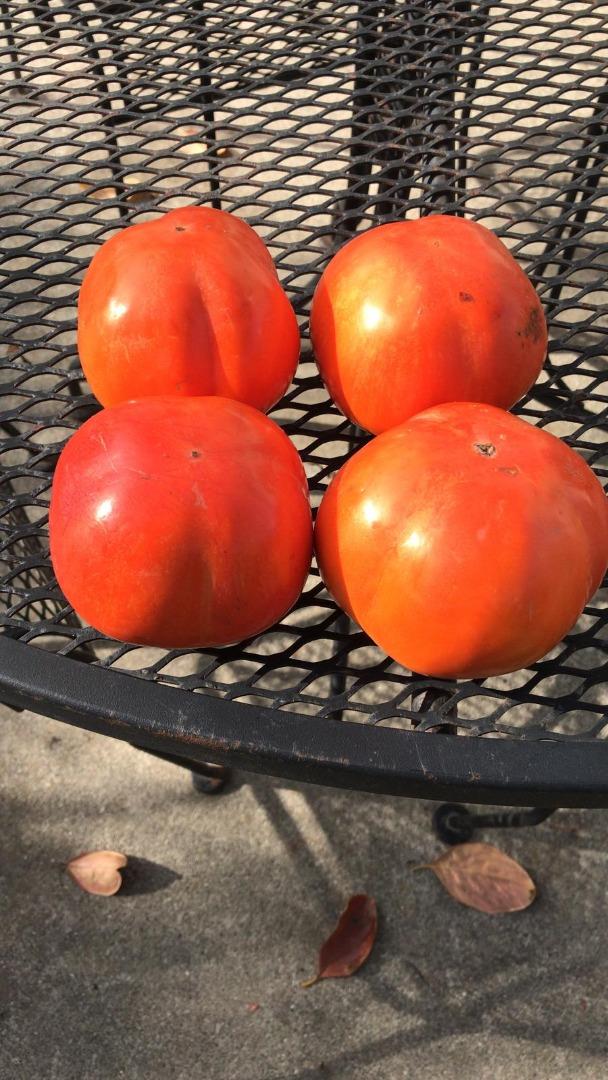 Detail Gallery Image 30 of 35 For 1723 Pheasant Dr, Hercules,  CA 94547 - 4 Beds | 2/1 Baths