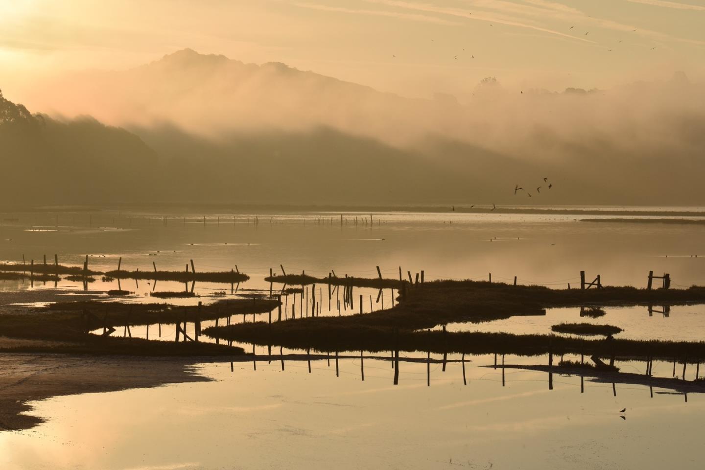 967 Salinas Road, Royal Oaks, CA, 95076