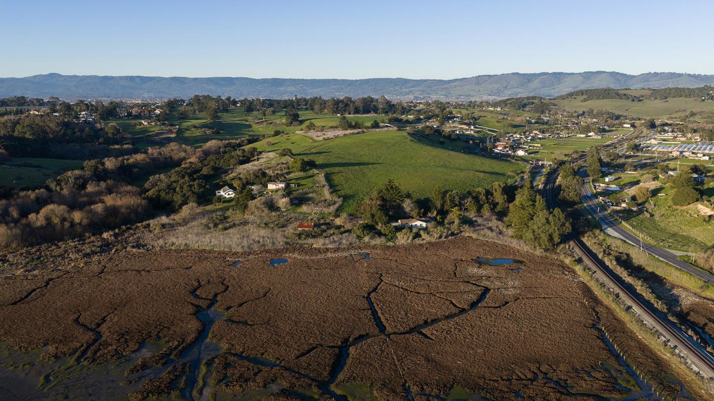 Detail Gallery Image 3 of 23 For 967 Salinas Rd, Royal Oaks,  CA 95076 - – Beds | – Baths