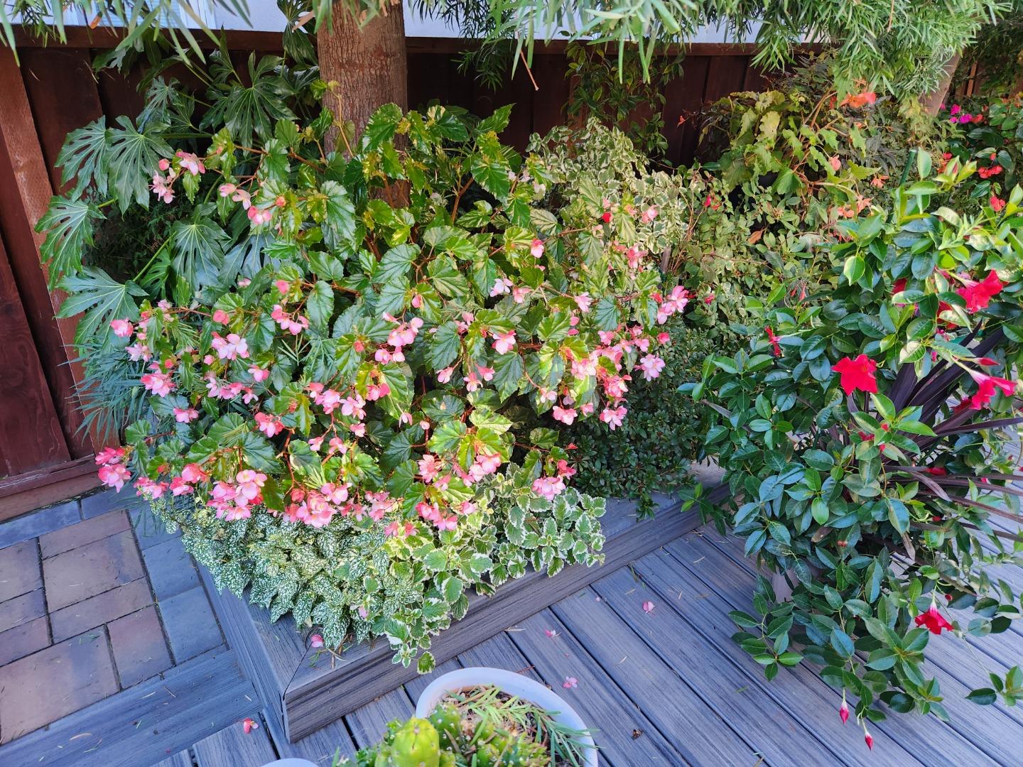 Detail Gallery Image 58 of 68 For 22014 Baxley Ct, Cupertino,  CA 95014 - 4 Beds | 3 Baths