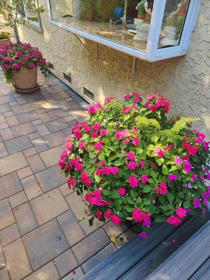 Detail Gallery Image 59 of 68 For 22014 Baxley Ct, Cupertino,  CA 95014 - 4 Beds | 3 Baths