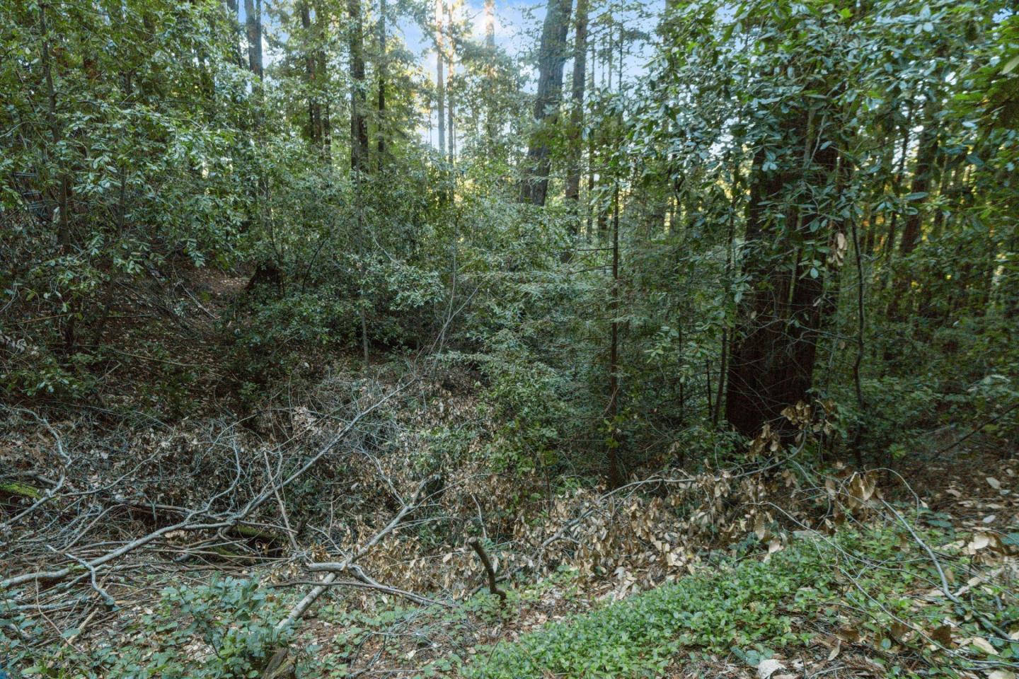 Detail Gallery Image 3 of 4 For 0 Country Club Dr, Ben Lomond,  CA 95005 - – Beds | – Baths