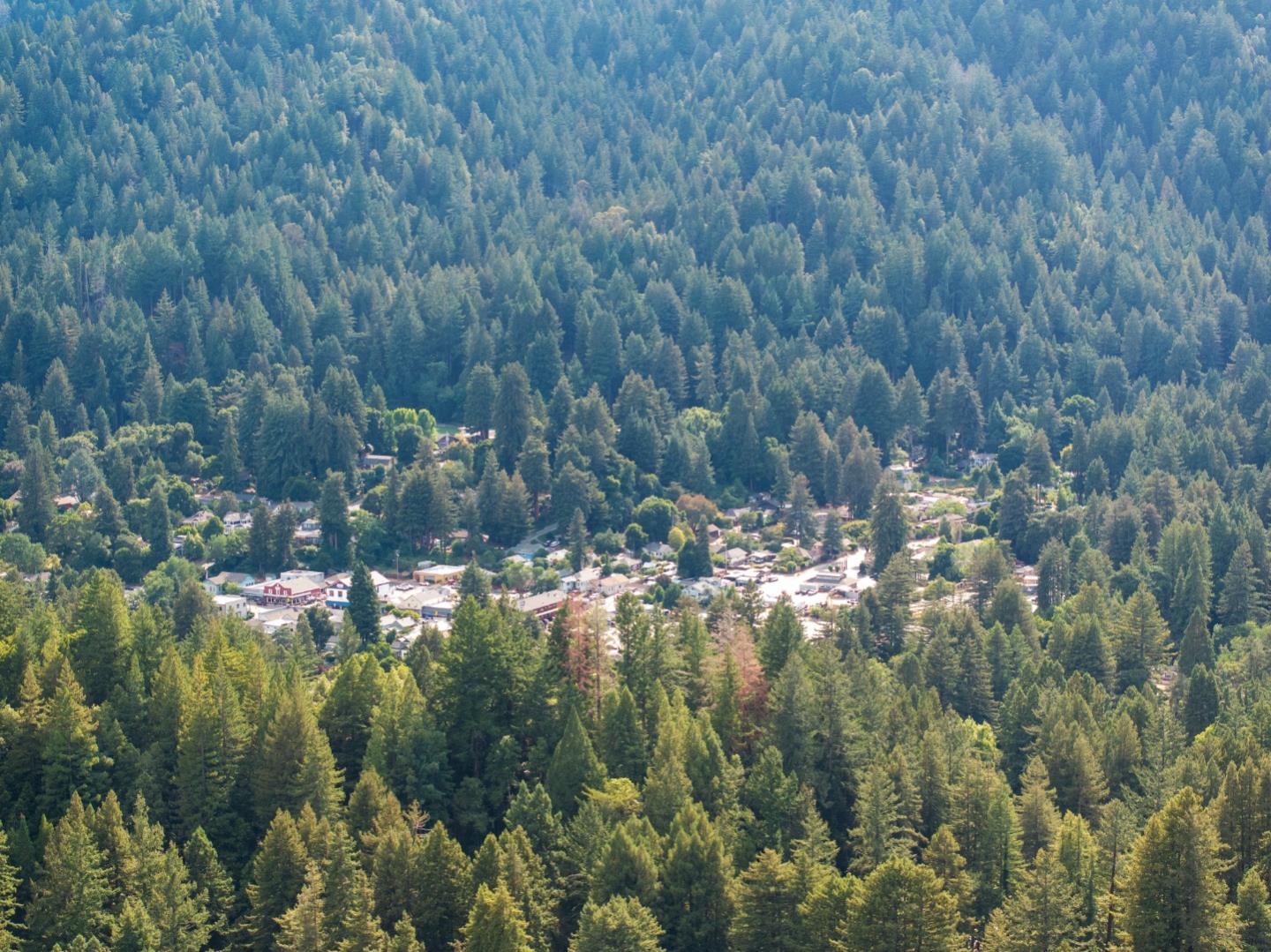 Detail Gallery Image 45 of 53 For 620 Manzanita Ave, Boulder Creek,  CA 95006 - 4 Beds | 3/1 Baths