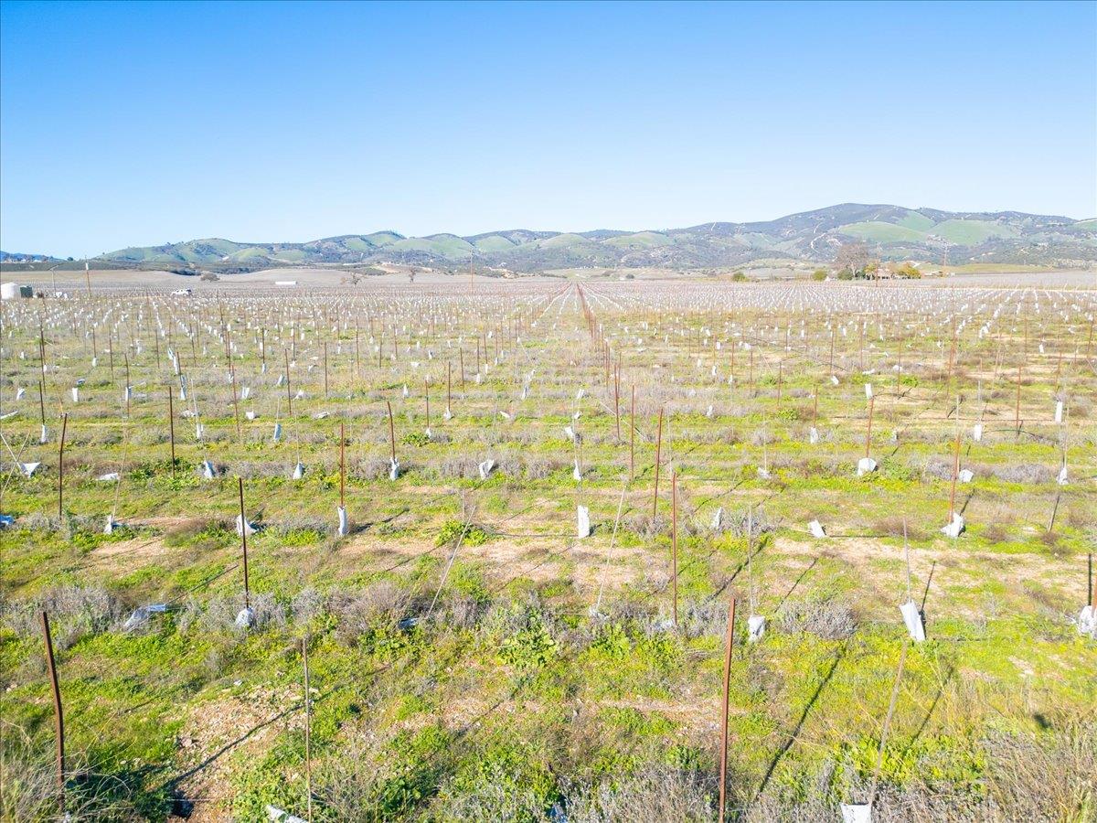 Detail Gallery Image 25 of 35 For 48655 Lockwood Jolon Rd, Lockwood,  CA 93932 - – Beds | – Baths