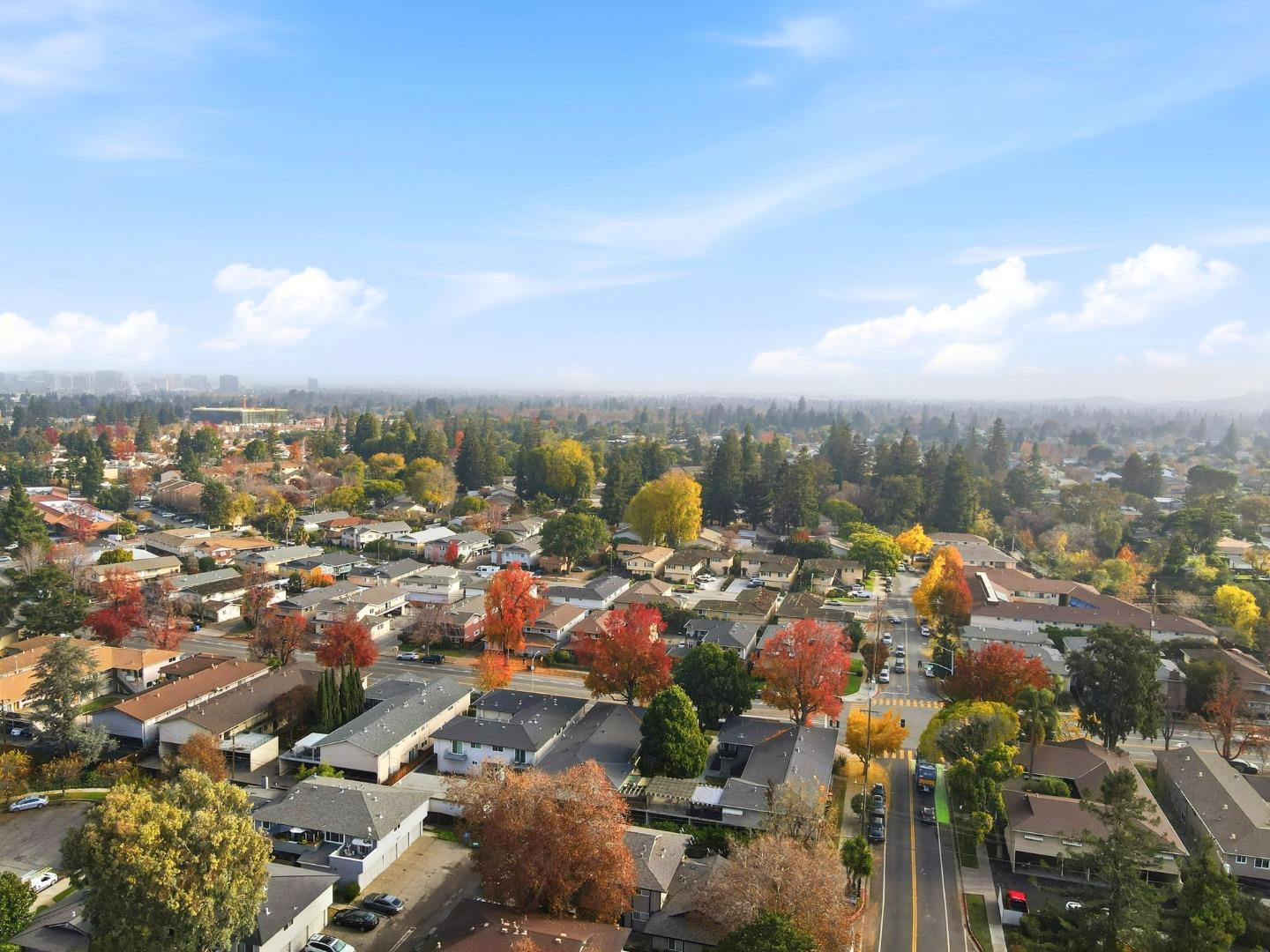 Detail Gallery Image 8 of 10 For 1235 Leigh Ave, San Jose,  CA 95126 - – Beds | – Baths