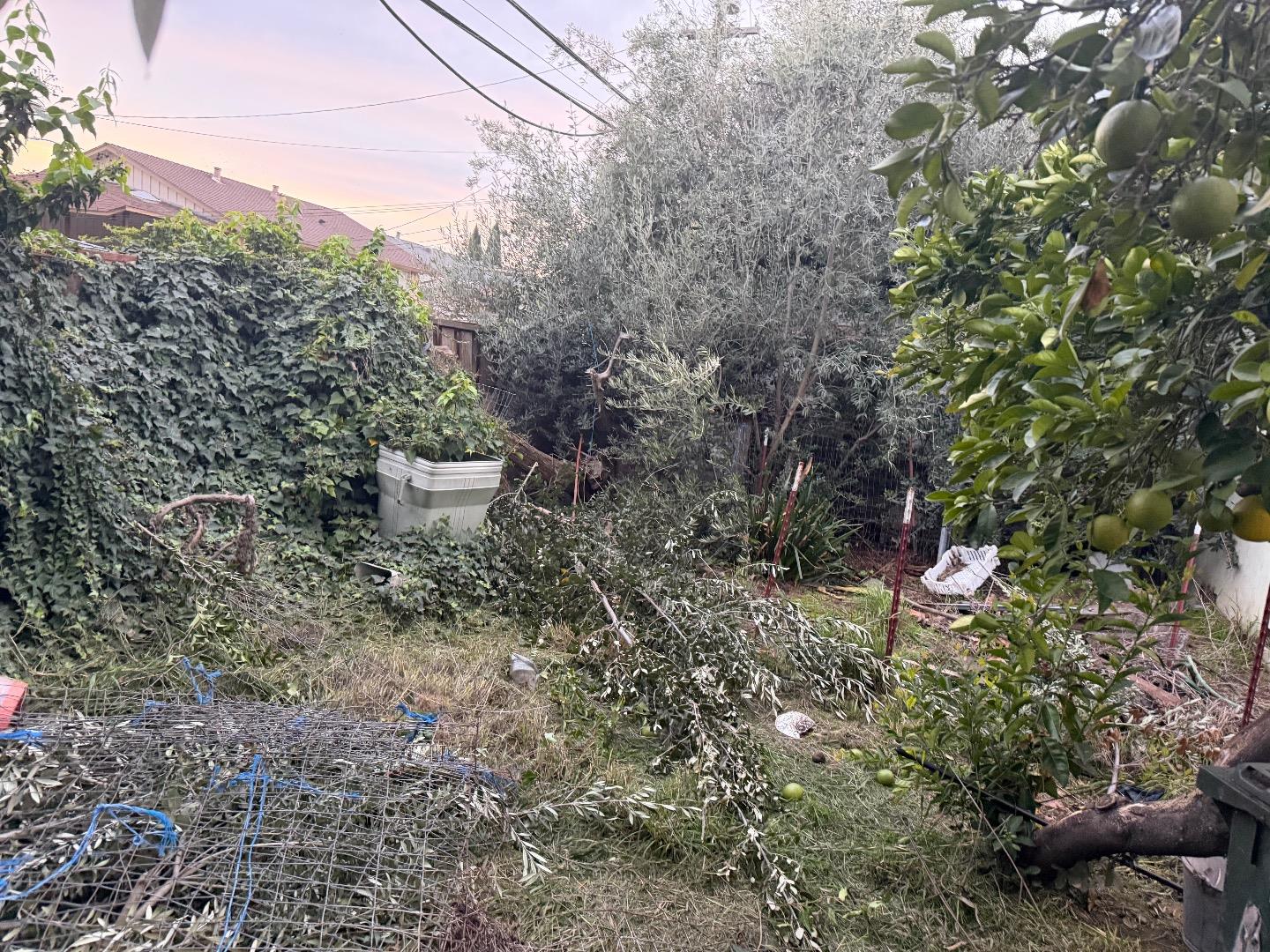 Detail Gallery Image 10 of 11 For 3284 Mattos Ave, San Jose,  CA 95132 - 3 Beds | 2 Baths