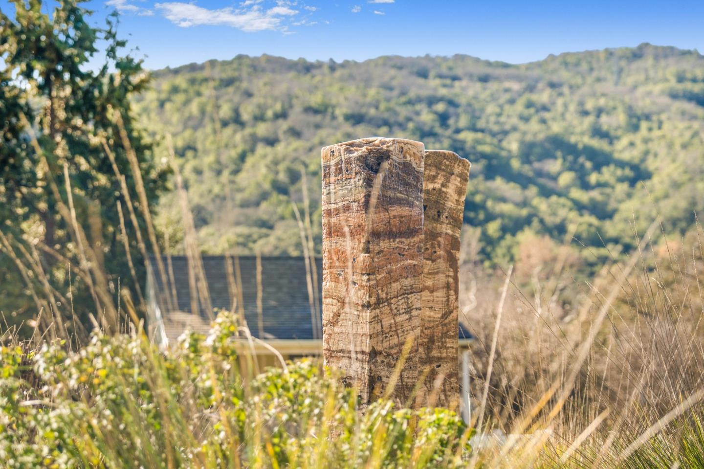 Detail Gallery Image 43 of 55 For 12170 Calle Uvas, Gilroy,  CA 95020 - 4 Beds | 2/1 Baths