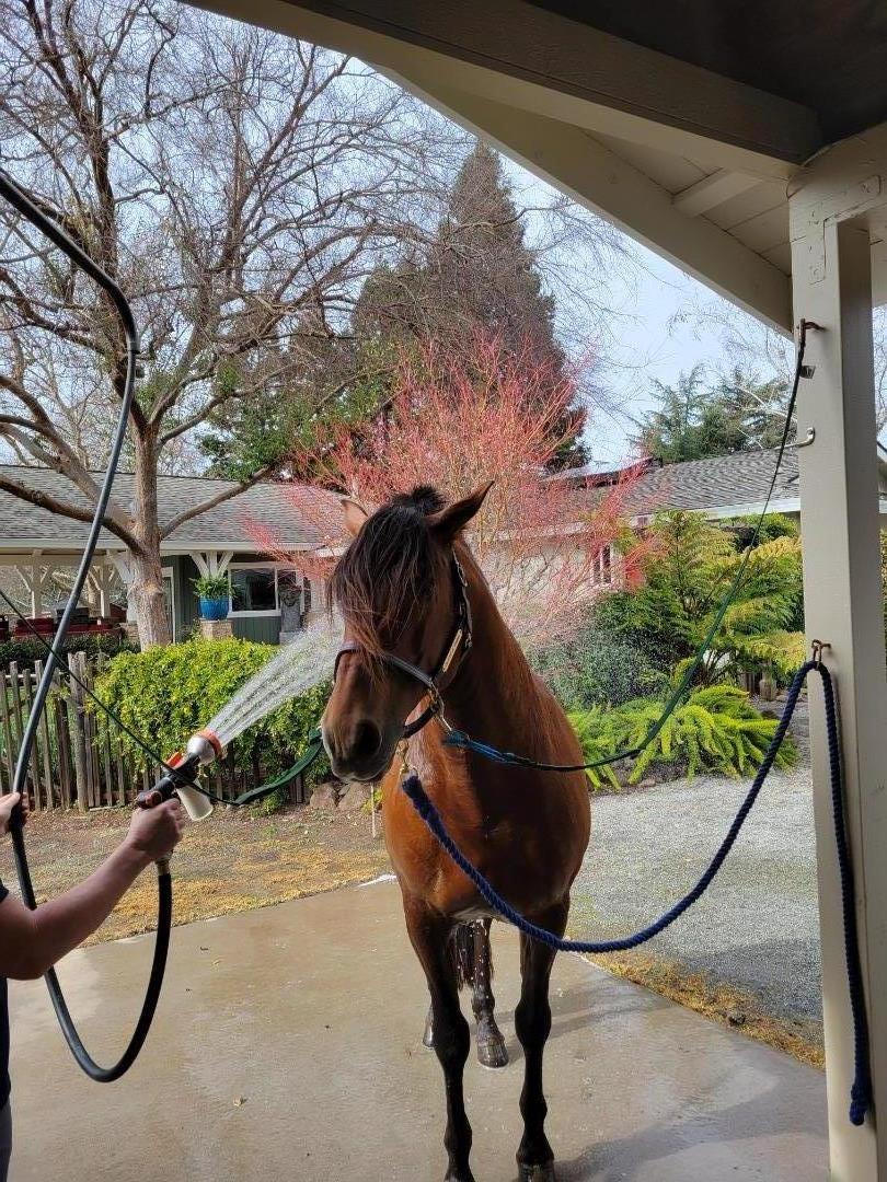 Detail Gallery Image 55 of 55 For 12170 Calle Uvas, Gilroy,  CA 95020 - 4 Beds | 2/1 Baths