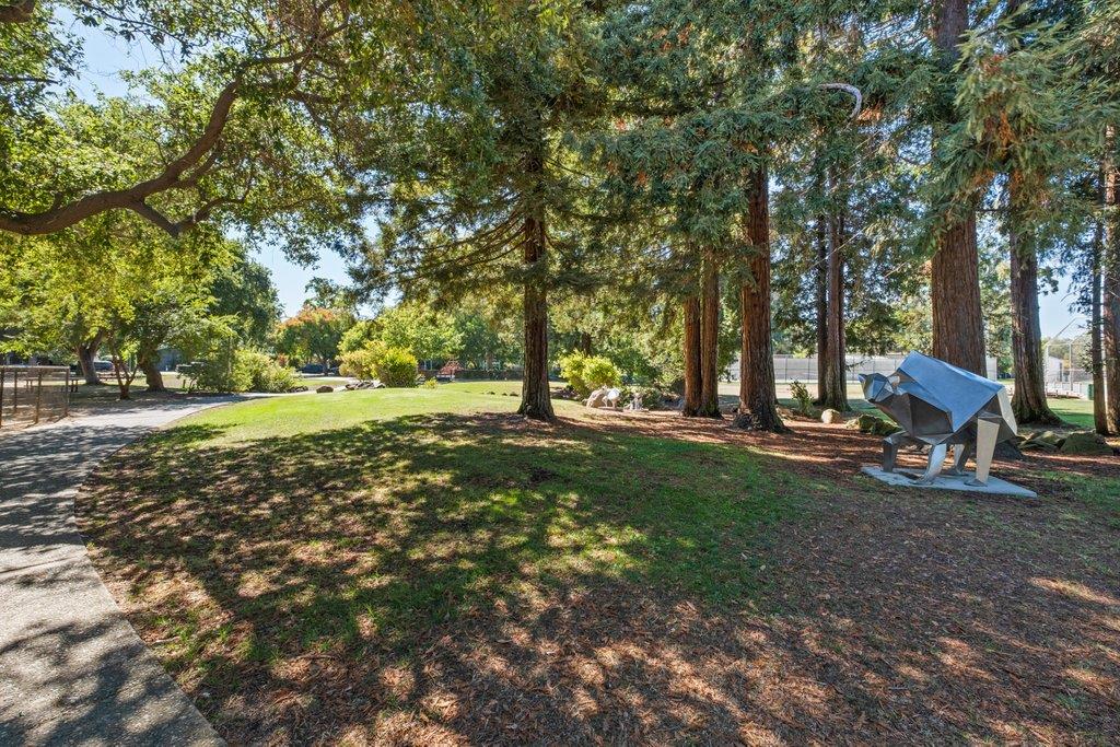 Detail Gallery Image 15 of 32 For 628 Colorado Ave, Palo Alto,  CA 94306 - – Beds | – Baths