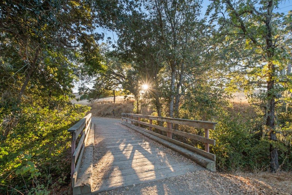 Detail Gallery Image 29 of 32 For 628 Colorado Ave, Palo Alto,  CA 94306 - – Beds | – Baths