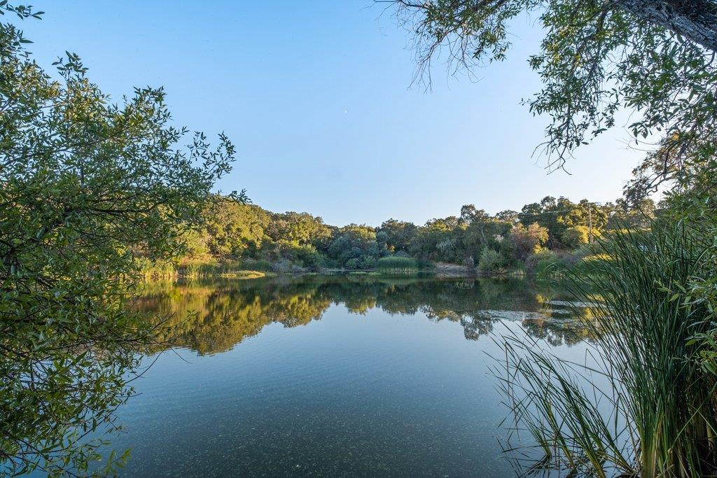 Detail Gallery Image 30 of 32 For 628 Colorado Ave, Palo Alto,  CA 94306 - – Beds | – Baths