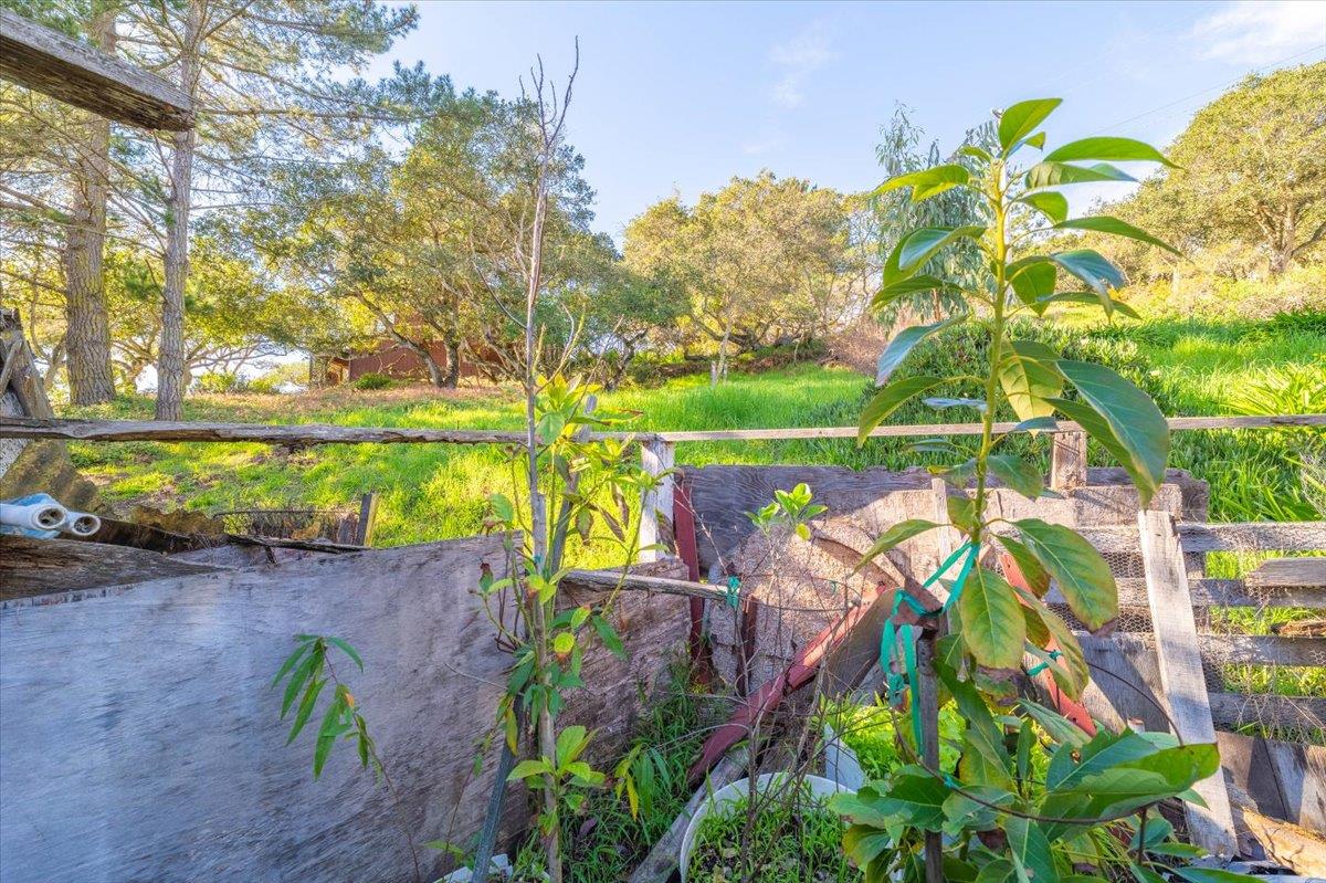 Detail Gallery Image 44 of 56 For 18117 Berta Canyon Rd, Salinas,  CA 93907 - 3 Beds | 2 Baths