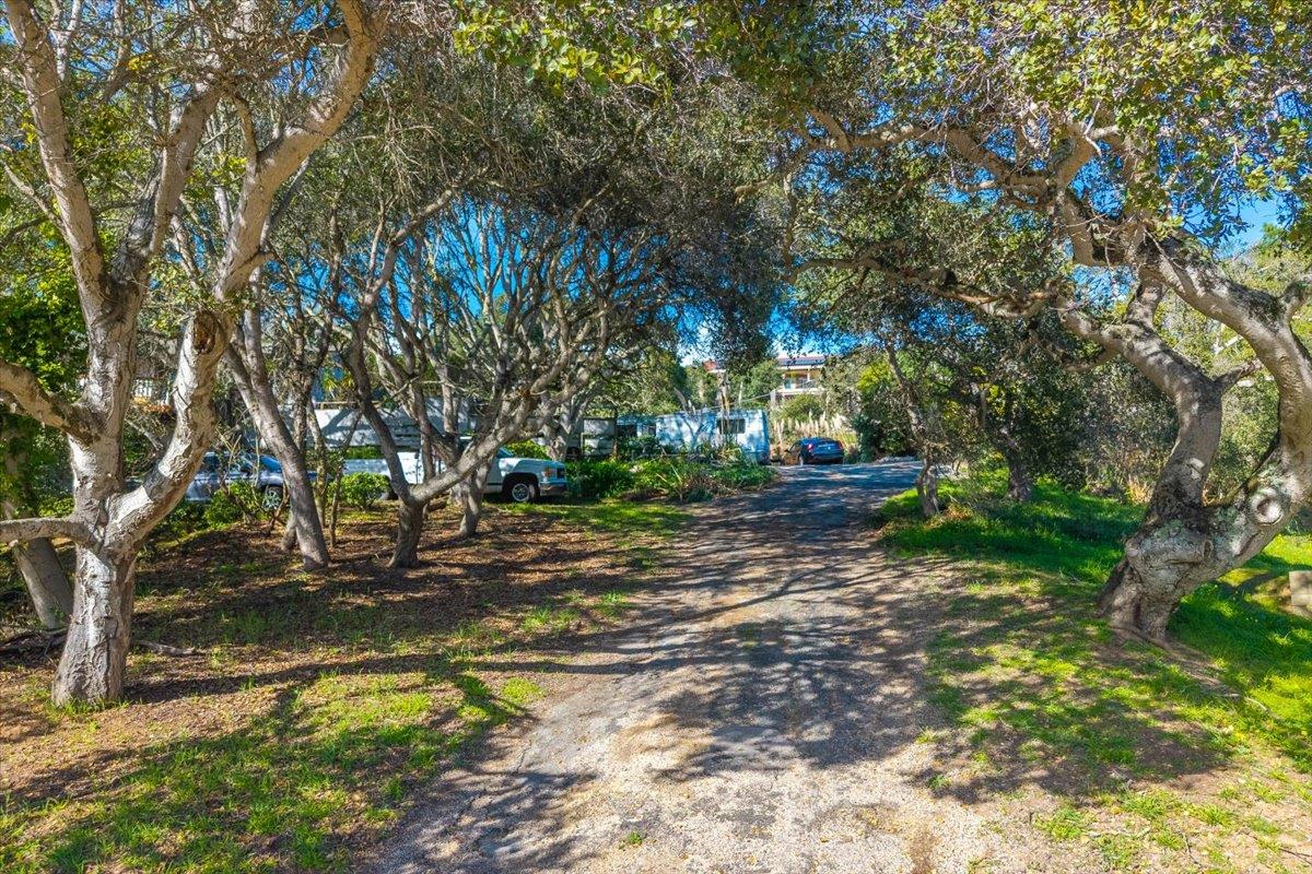 Detail Gallery Image 9 of 56 For 18117 Berta Canyon Rd, Salinas,  CA 93907 - 3 Beds | 2 Baths