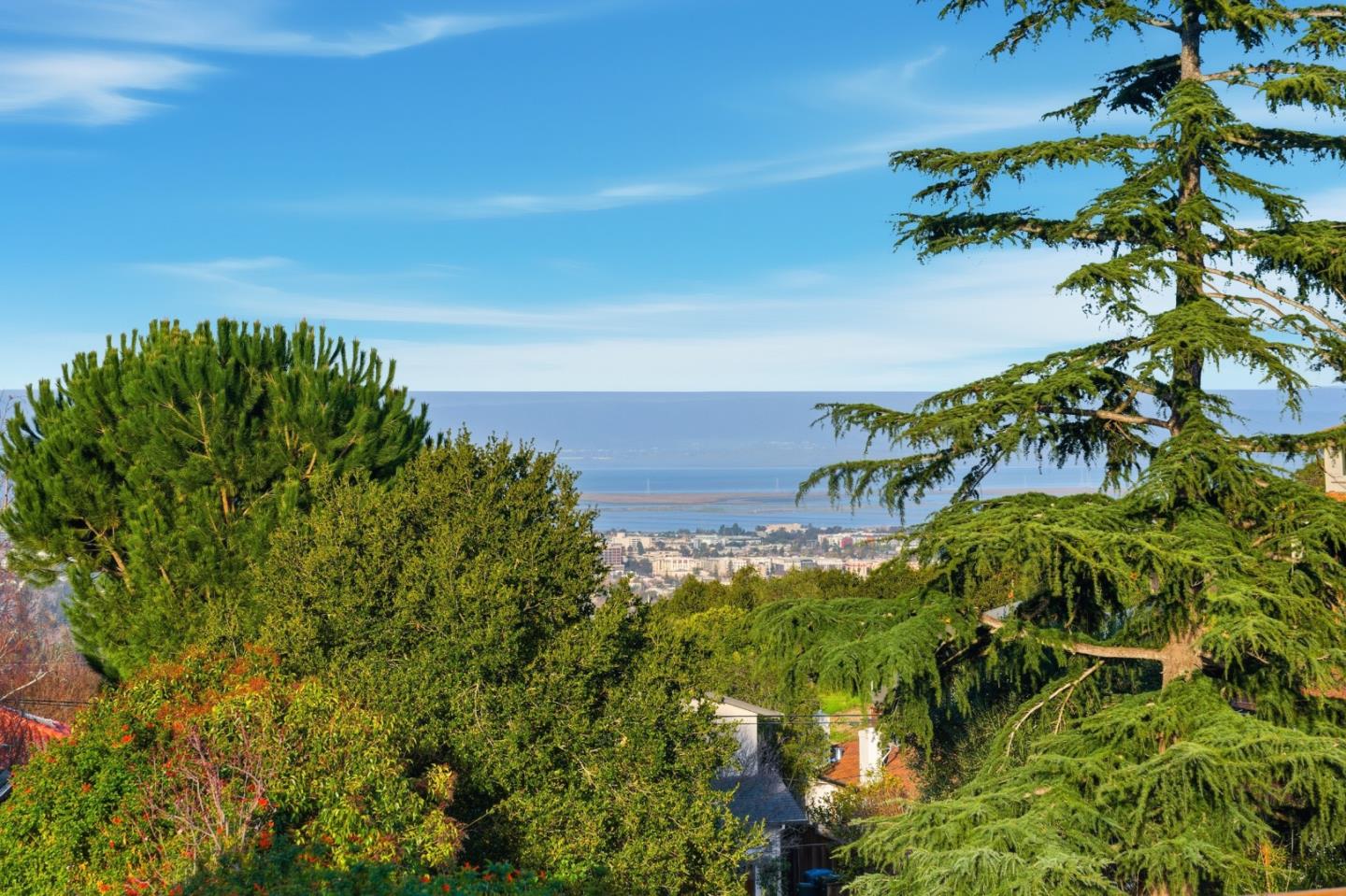 Detail Gallery Image 2 of 45 For 733 Temescal Way, Redwood City,  CA 94062 - 5 Beds | 3/1 Baths