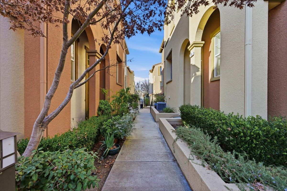 Detail Gallery Image 64 of 76 For 212 Boston Fern Cmn, Fremont,  CA 94539 - 4 Beds | 2/1 Baths