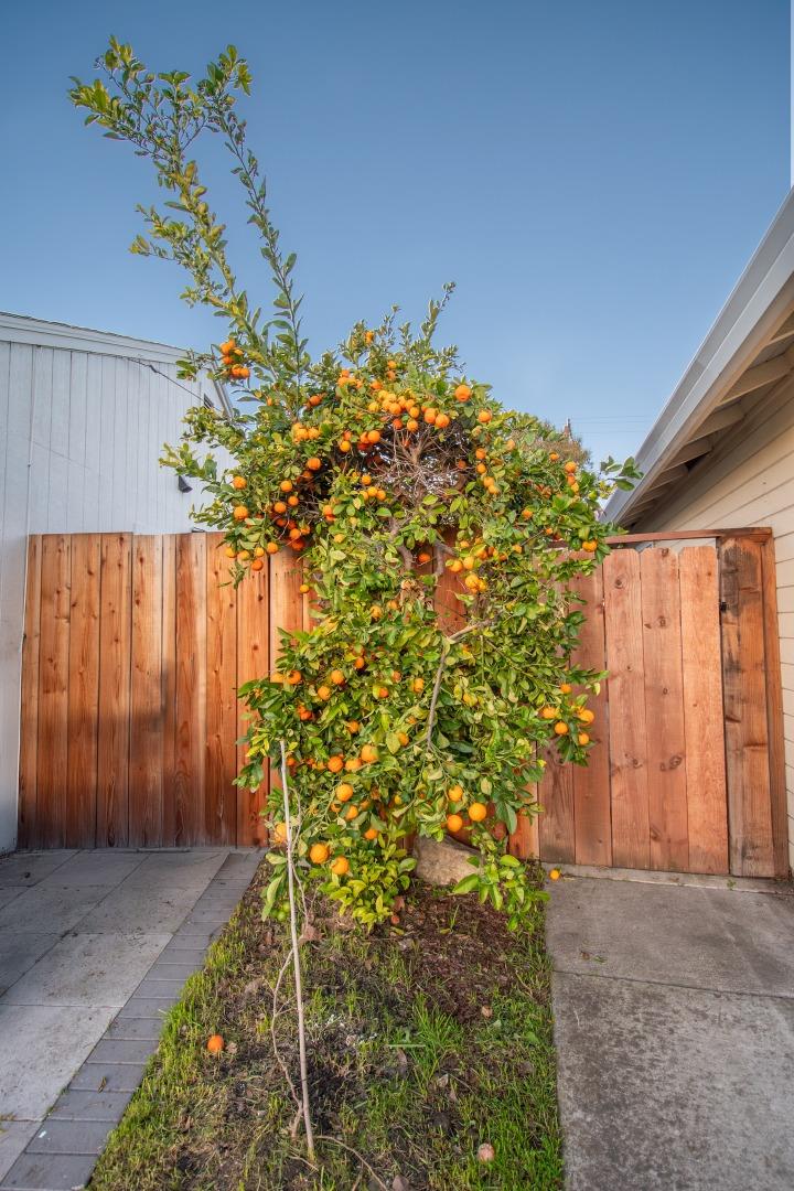 Detail Gallery Image 76 of 76 For 765 Enright Ave, Santa Clara,  CA 95050 - 3 Beds | 1/1 Baths