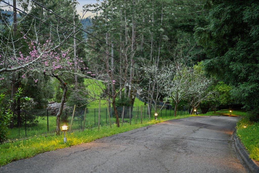 Detail Gallery Image 76 of 77 For 350 Aurora Rd, Soquel,  CA 95073 - 4 Beds | 3 Baths