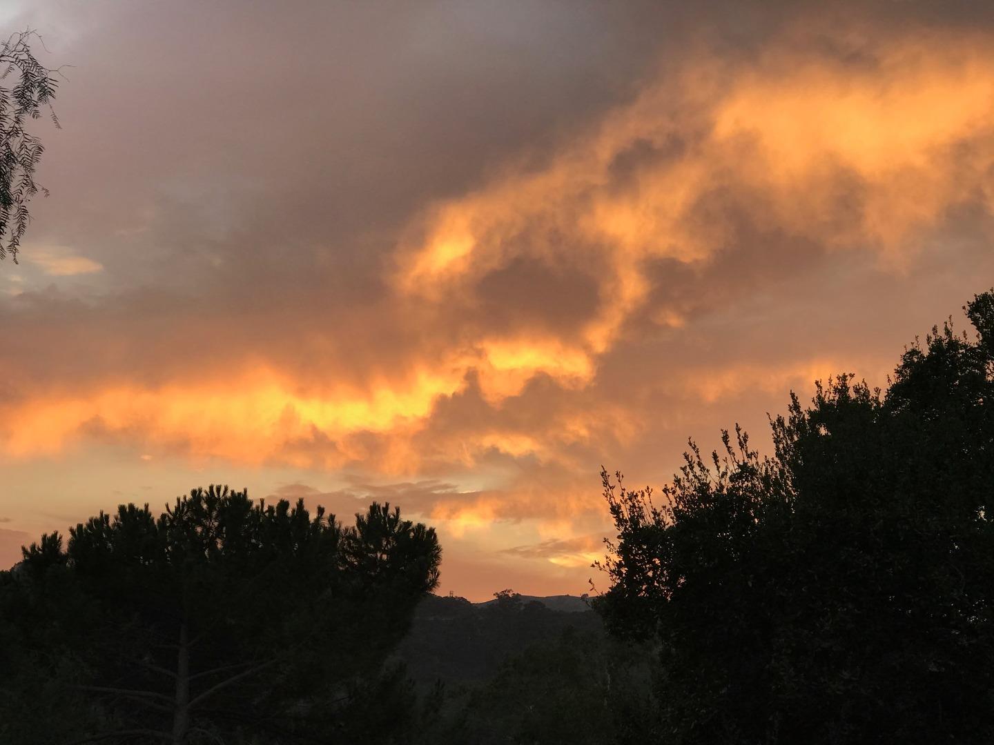 Detail Gallery Image 33 of 42 For 22301 Rolling Hills Rd, Saratoga,  CA 95070 - 2 Beds | 2 Baths