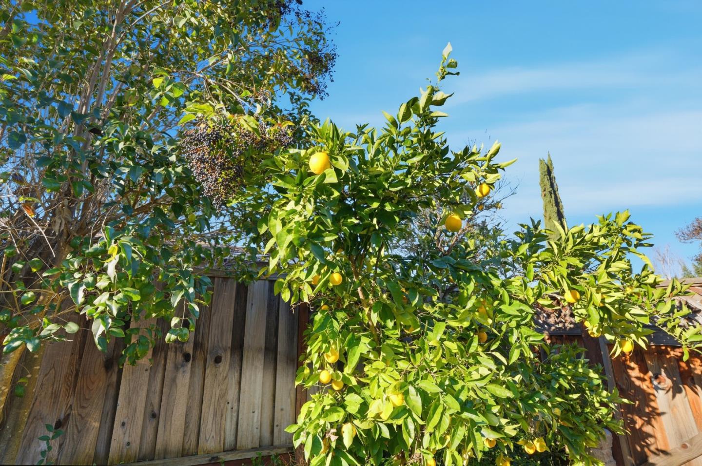 Detail Gallery Image 34 of 37 For 1272 Chelsea Way, Concord,  CA 94521 - 3 Beds | 2 Baths