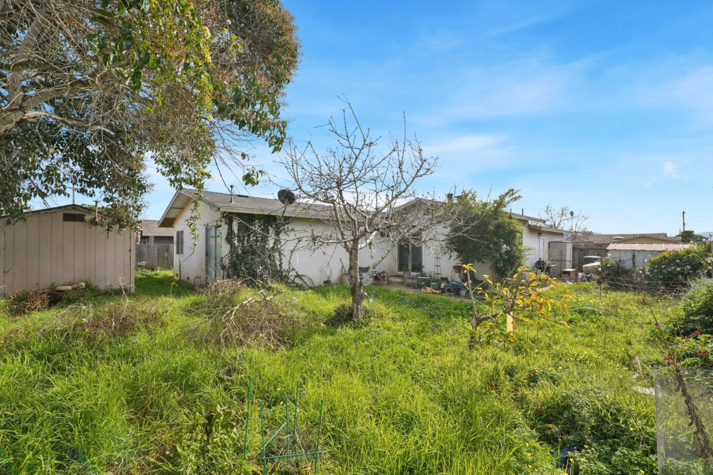 Detail Gallery Image 24 of 28 For 559 E Alvin Dr, Salinas,  CA 93906 - 3 Beds | 2 Baths