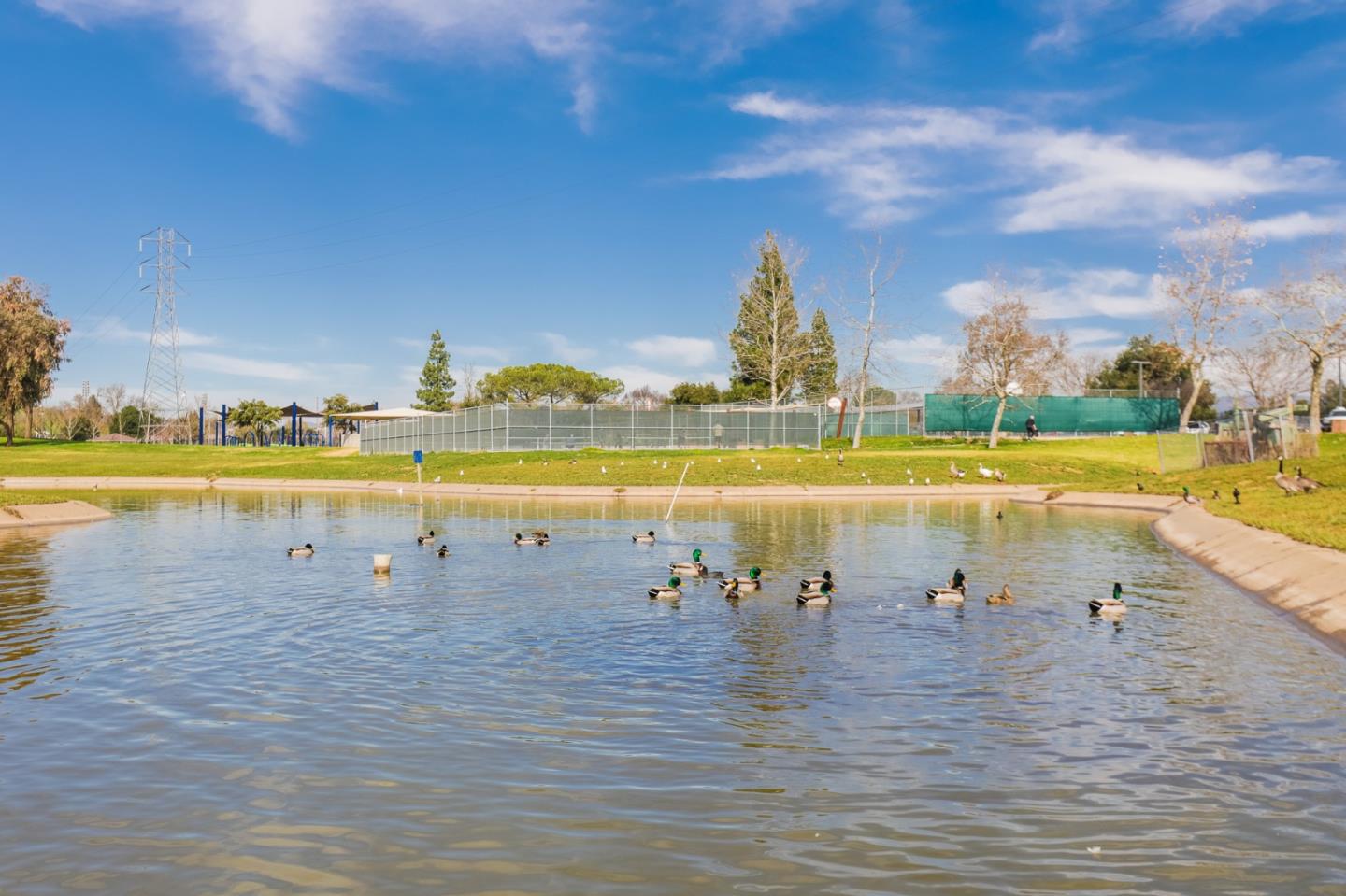 Detail Gallery Image 110 of 144 For 785 San Sebastian Pl, Morgan Hill,  CA 95037 - 4 Beds | 2 Baths