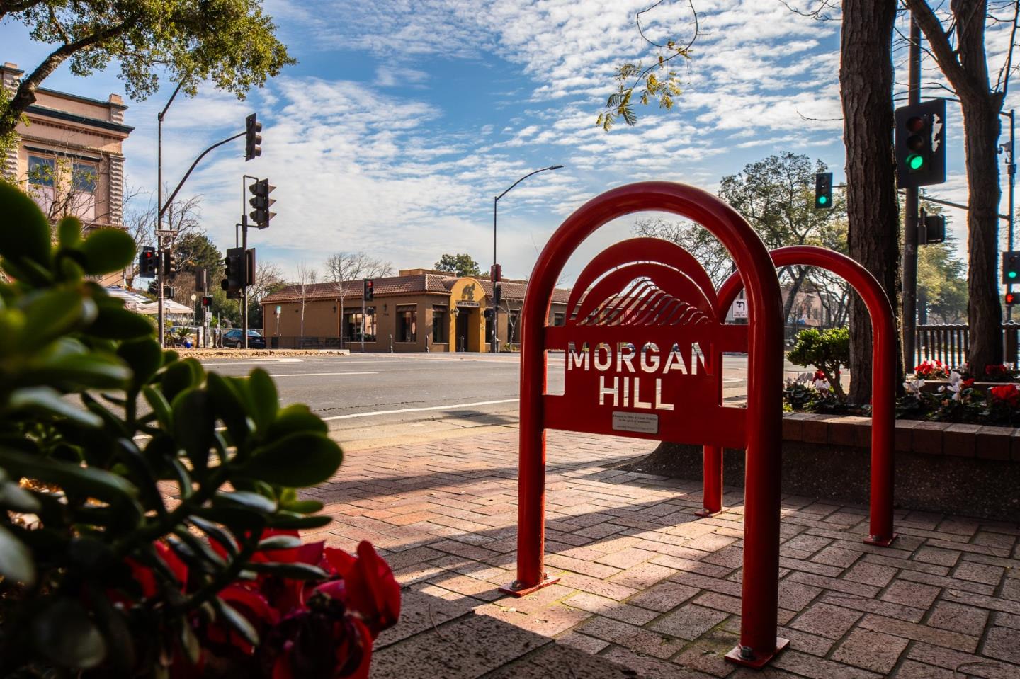 Detail Gallery Image 72 of 144 For 785 San Sebastian Pl, Morgan Hill,  CA 95037 - 4 Beds | 2 Baths