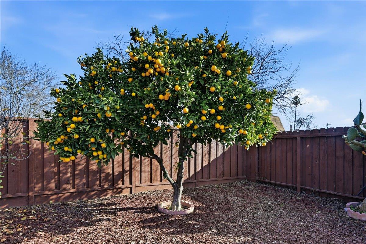 Detail Gallery Image 45 of 53 For 6328 Zulmida Ave, Newark,  CA 94560 - 4 Beds | 2 Baths