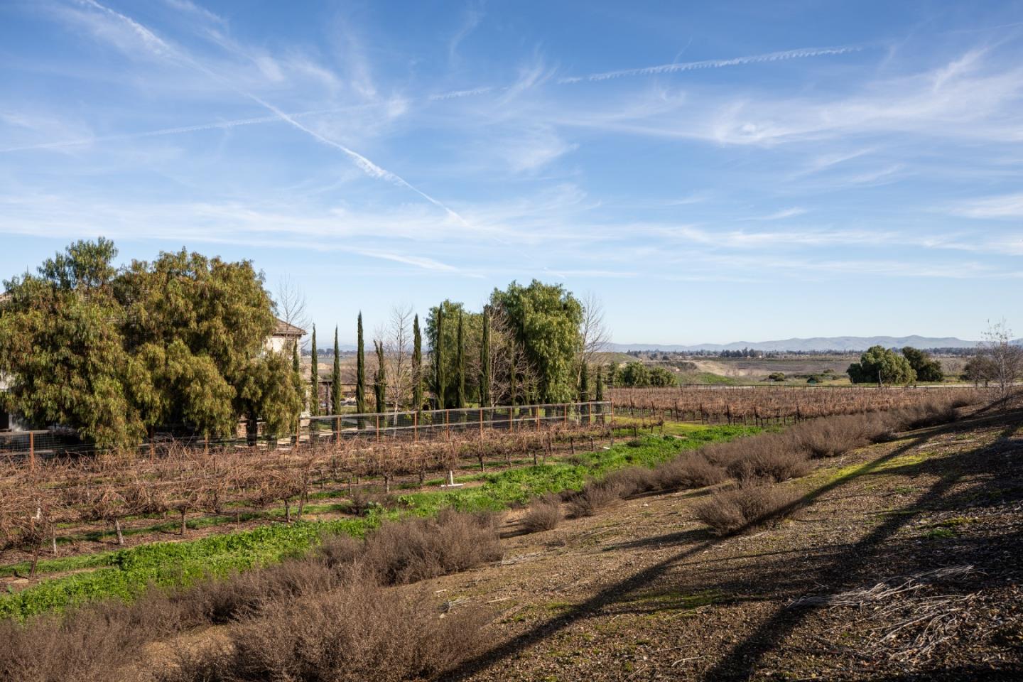 Detail Gallery Image 44 of 55 For 1112 Finch Pl, Pleasanton,  CA 94566 - 5 Beds | 4/1 Baths