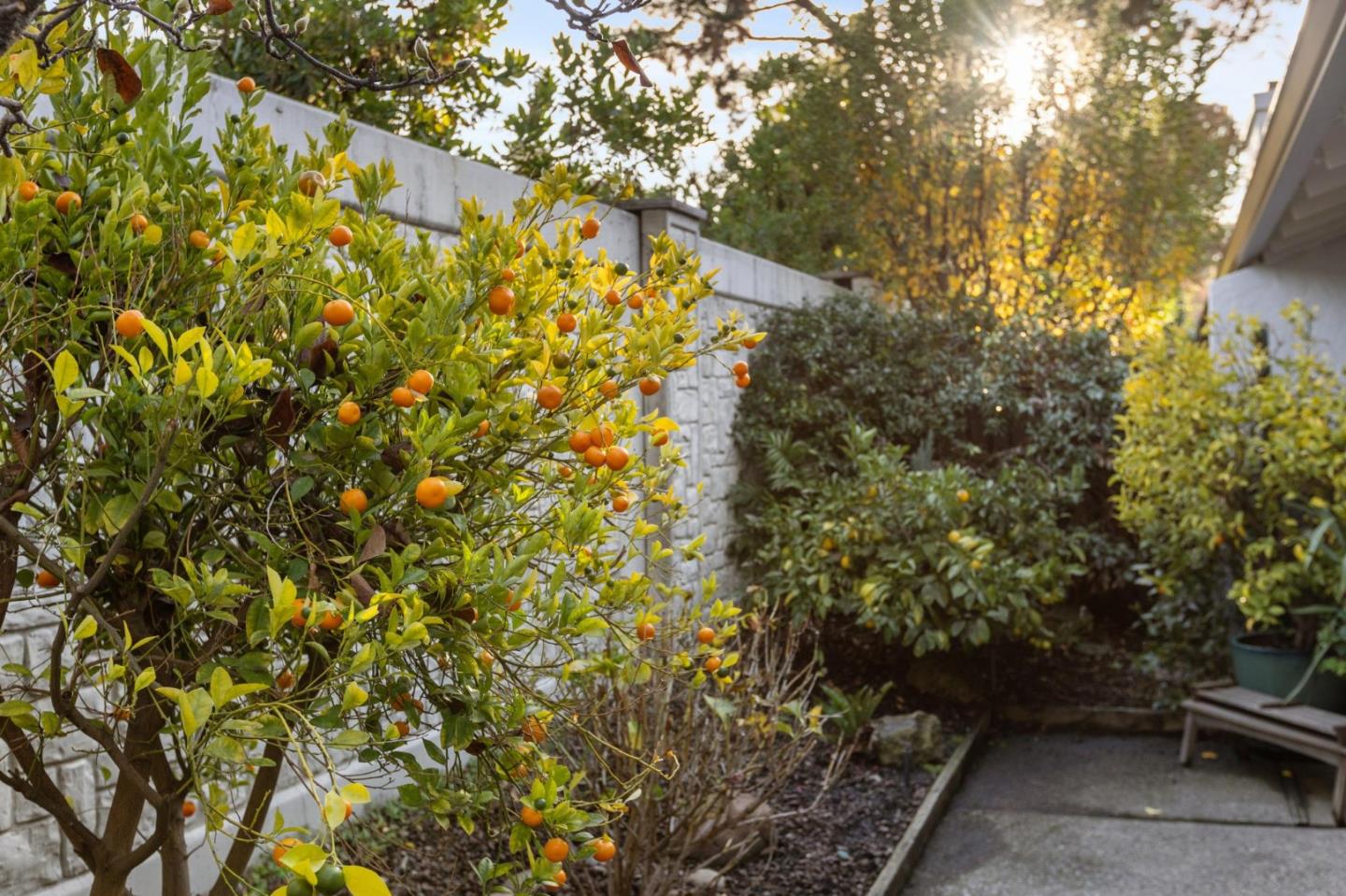 Photo #18: ML82032158 Listing: Photo #18