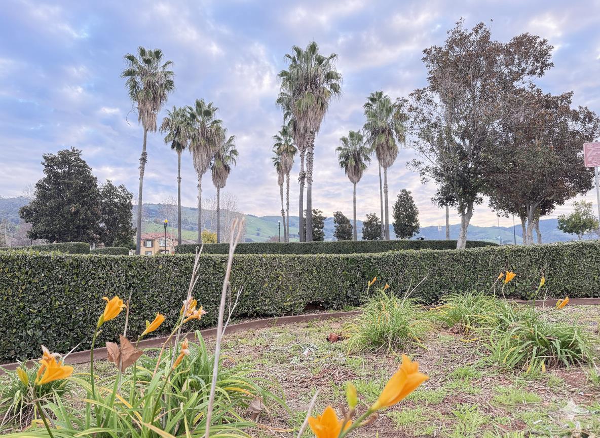 Detail Gallery Image 39 of 46 For 3337 Ariel Joshua Ct, San Jose,  CA 95135 - 5 Beds | 3/1 Baths