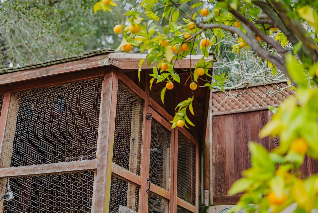 Detail Gallery Image 59 of 67 For 500 Calle Del Sol, Aptos,  CA 95003 - 2 Beds | 3 Baths