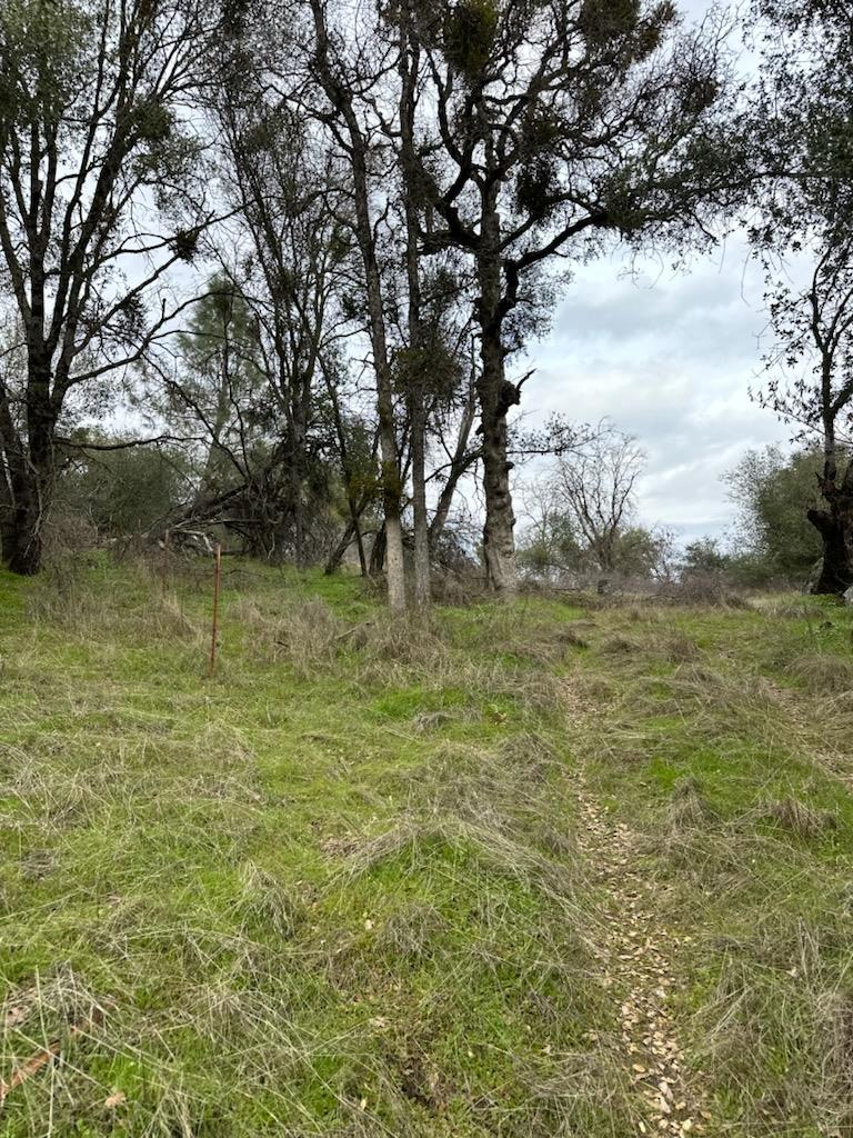 Detail Gallery Image 10 of 12 For 4822 Indian Peaks Rd, Mariposa,  CA 95338 - – Beds | – Baths