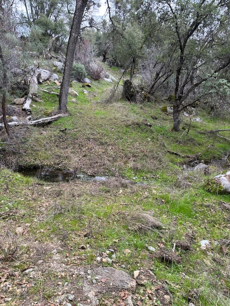 Detail Gallery Image 11 of 12 For 4822 Indian Peaks Rd, Mariposa,  CA 95338 - – Beds | – Baths