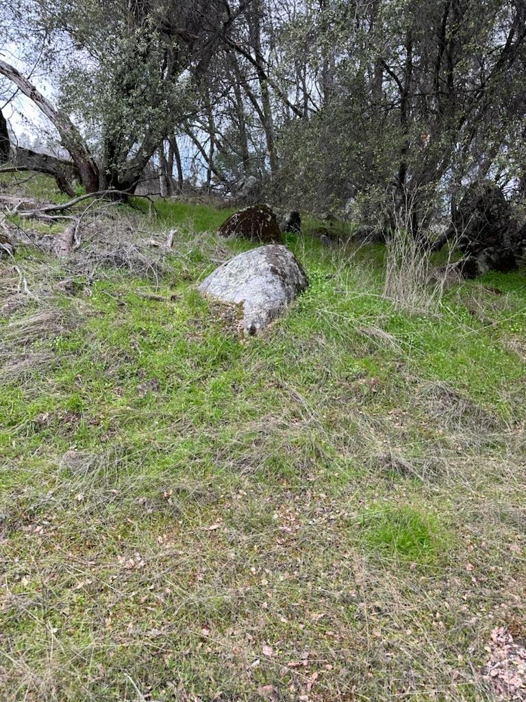 Detail Gallery Image 12 of 12 For 4822 Indian Peaks Rd, Mariposa,  CA 95338 - – Beds | – Baths