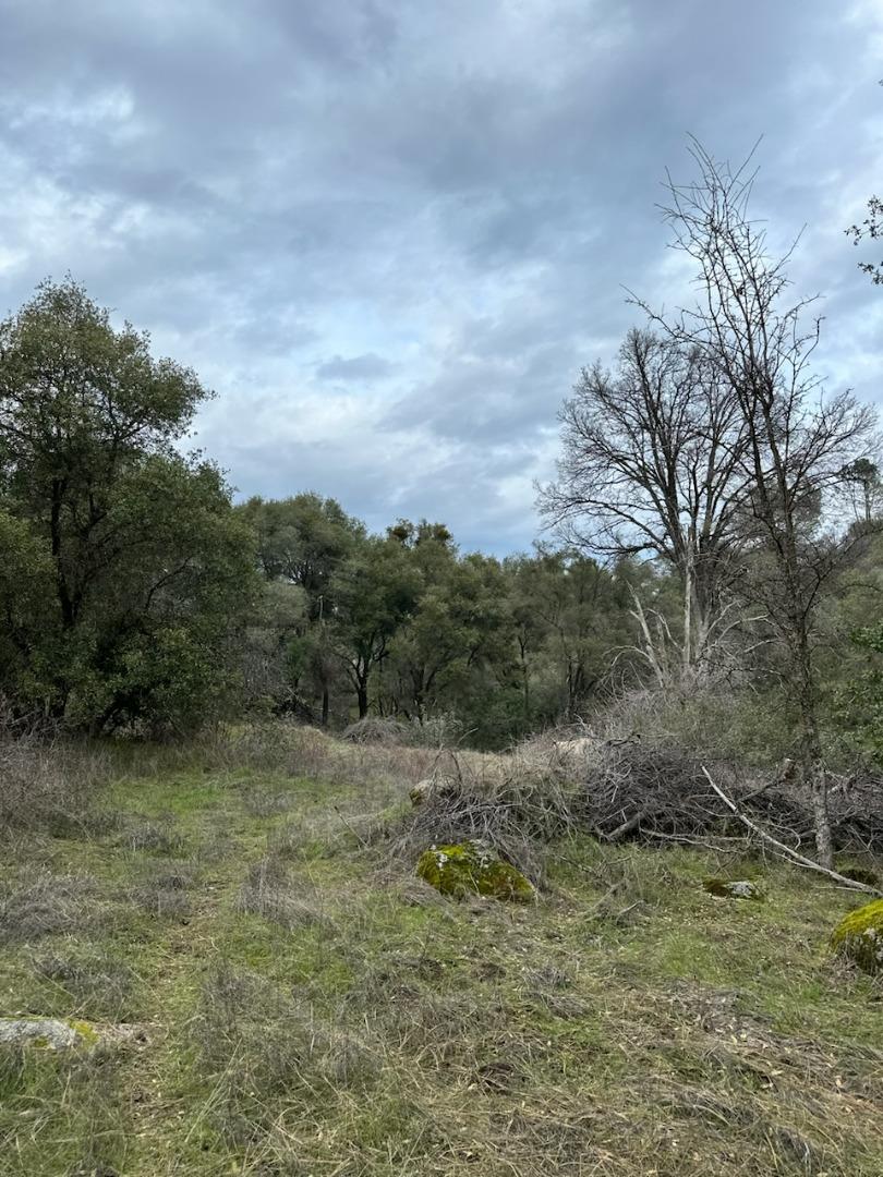 Detail Gallery Image 4 of 12 For 4822 Indian Peaks Rd, Mariposa,  CA 95338 - – Beds | – Baths