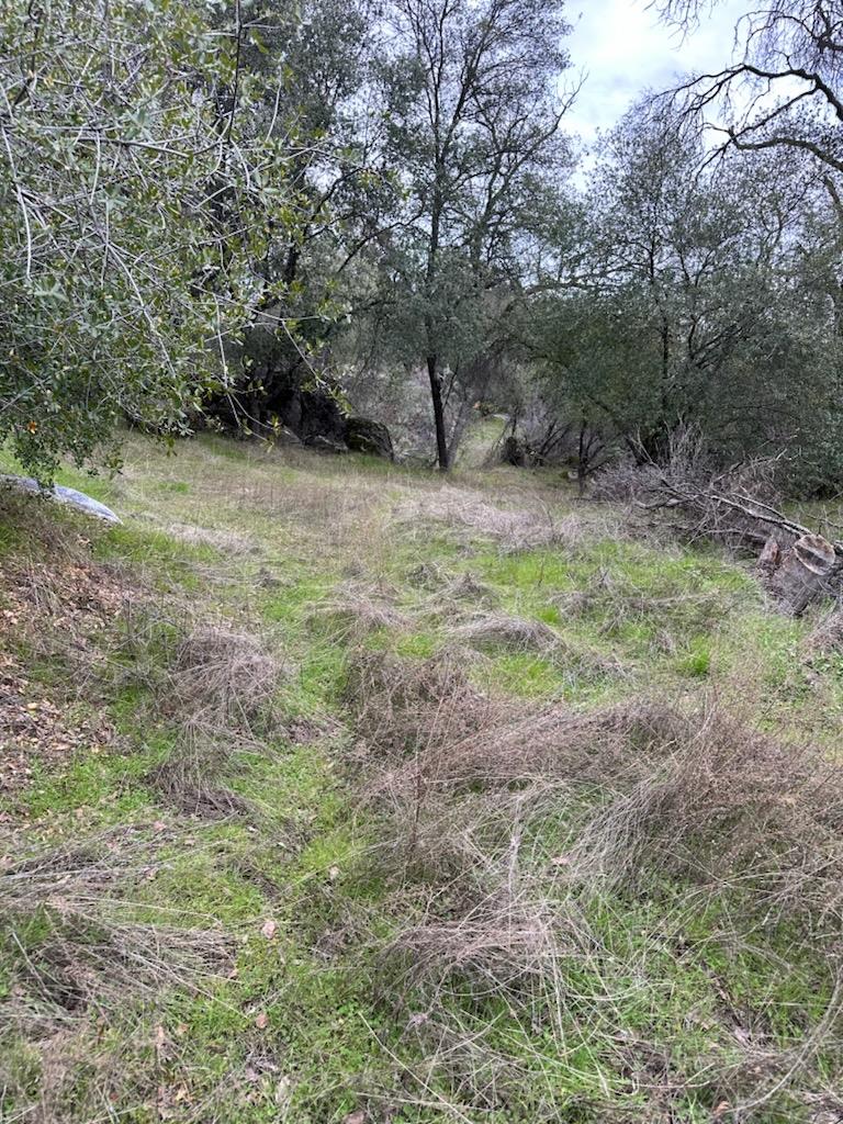 Detail Gallery Image 9 of 12 For 4822 Indian Peaks Rd, Mariposa,  CA 95338 - – Beds | – Baths