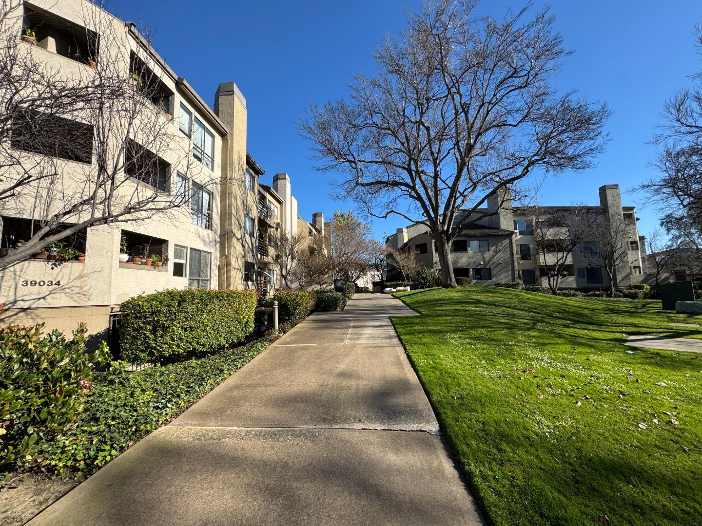 Detail Gallery Image 18 of 30 For 39034 Guardino Dr #206,  Fremont,  CA 94538 - 2 Beds | 1 Baths