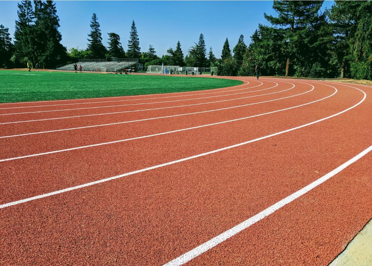 Detail Gallery Image 60 of 65 For 2505 Greer Rd, Palo Alto,  CA 94303 - 3 Beds | 2 Baths