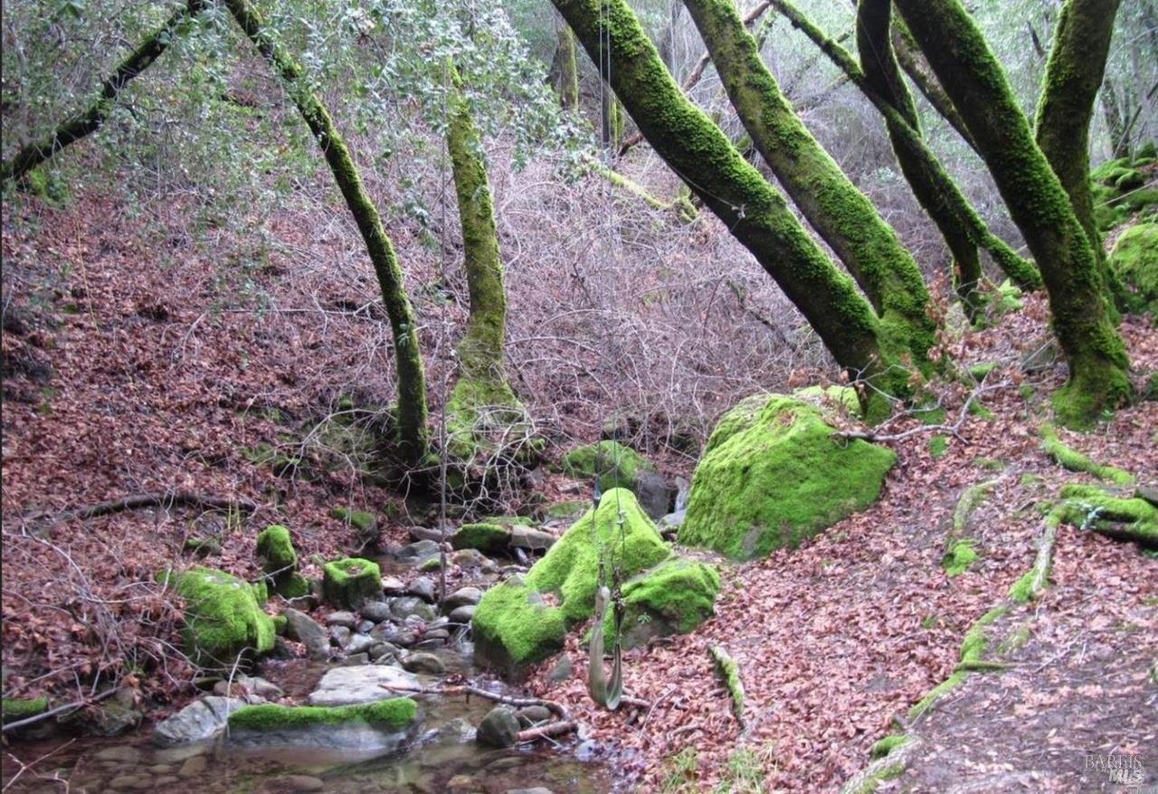 Detail Gallery Image 13 of 27 For 2778 Mix Canyon Rd, Vacaville,  CA 95688 - – Beds | – Baths