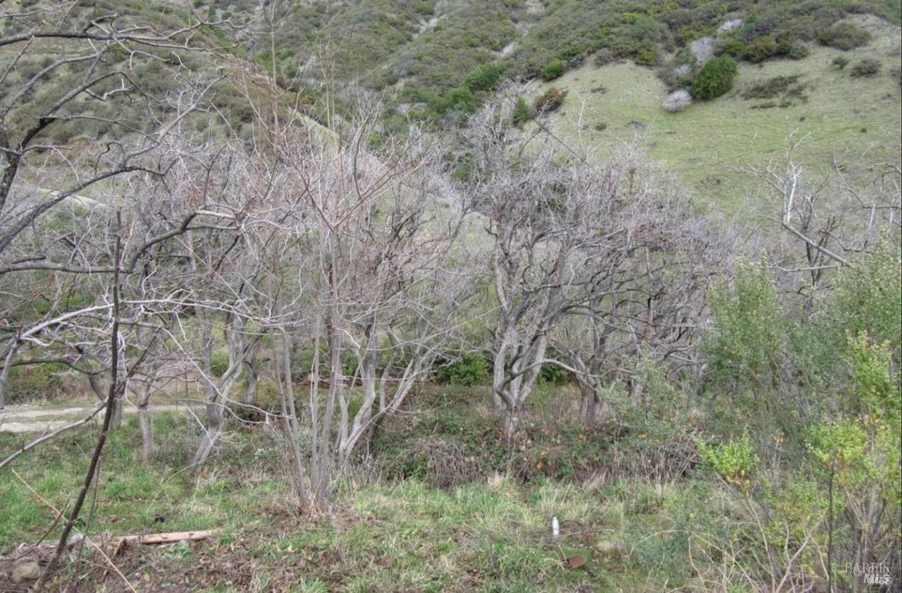 Detail Gallery Image 20 of 27 For 2778 Mix Canyon Rd, Vacaville,  CA 95688 - – Beds | – Baths