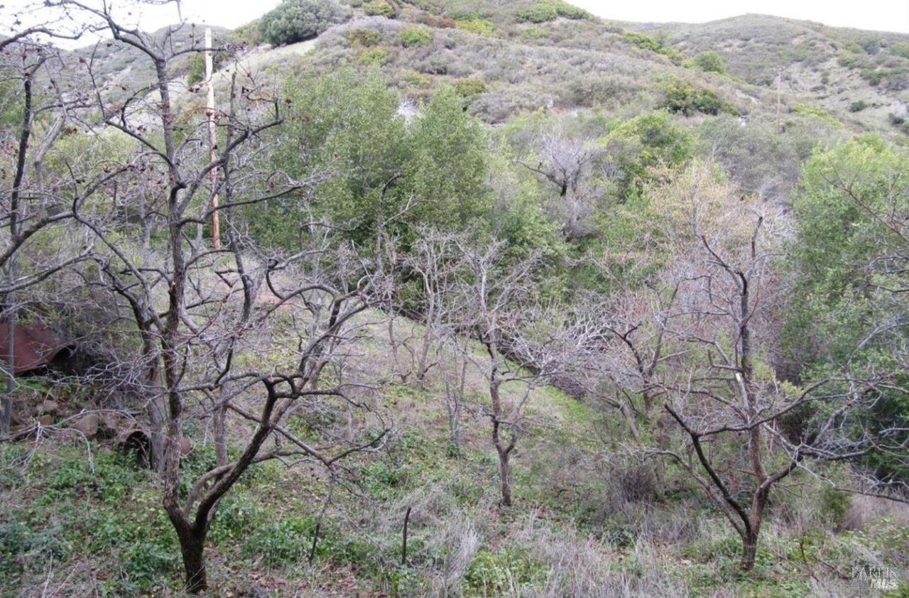 Detail Gallery Image 22 of 27 For 2778 Mix Canyon Rd, Vacaville,  CA 95688 - – Beds | – Baths