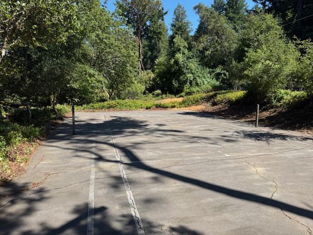 Detail Gallery Image 76 of 86 For 45 Ranch Rd, Woodside,  CA 94062 - 3 Beds | 3/1 Baths