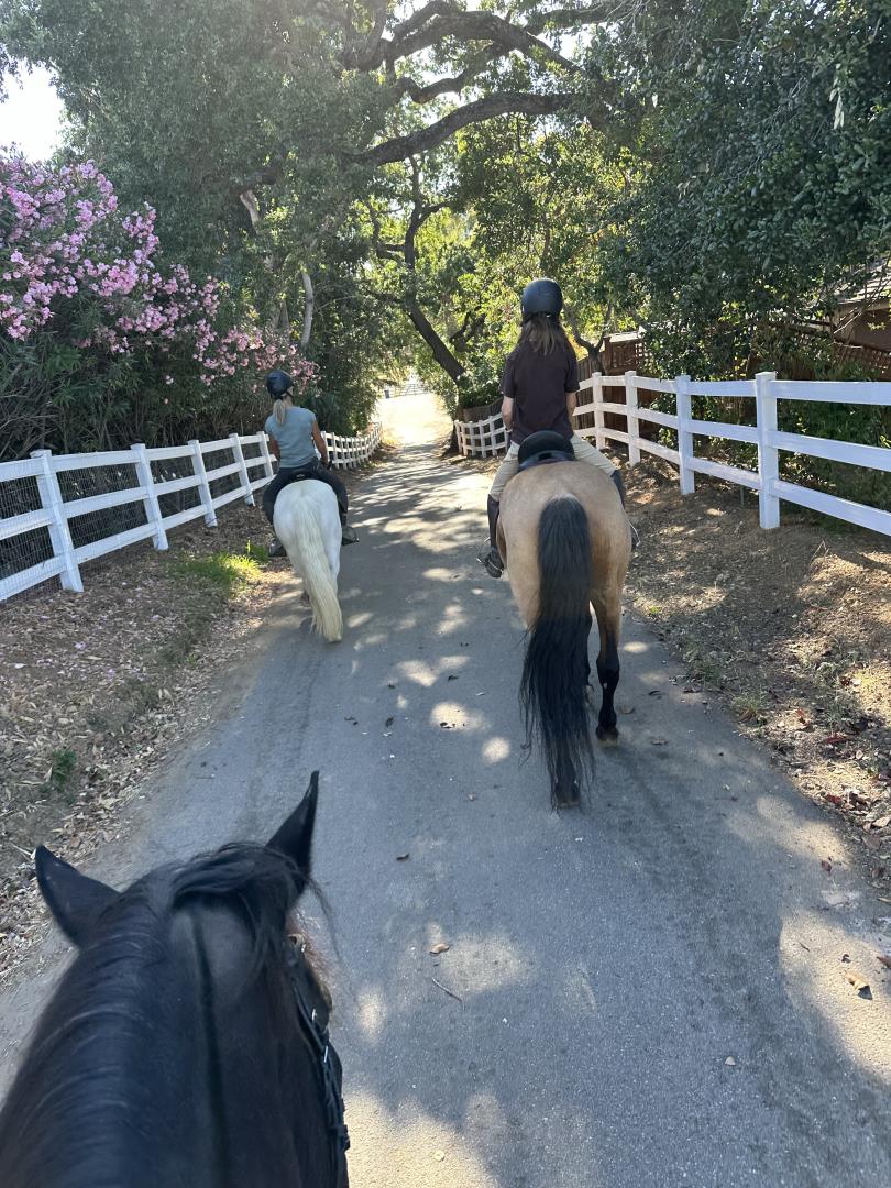 Detail Gallery Image 37 of 39 For 15393 via Caballero, Monte Sereno,  CA 95030 - 5 Beds | 4/1 Baths